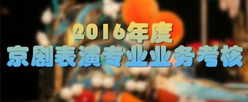 日姨妹骚逼视频国家京剧院2016年度京剧表演专业业务考...